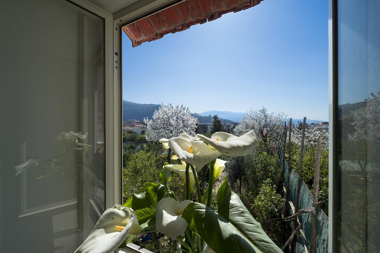 Villa Casa Lina à Sant'Angelo  Extérieur photo